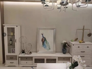 Elegant European Contemporary Furniture , 3 Piece Living Room Cabinet Set